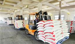 z6com尊龙股份5月生产喜报——产量创新高，月产量突破4万吨